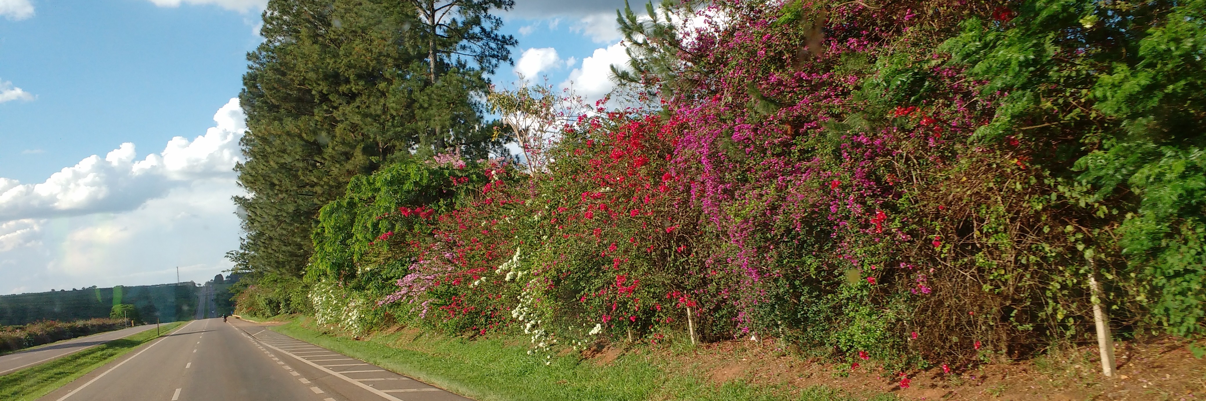 Rodovia Ademar de Barros